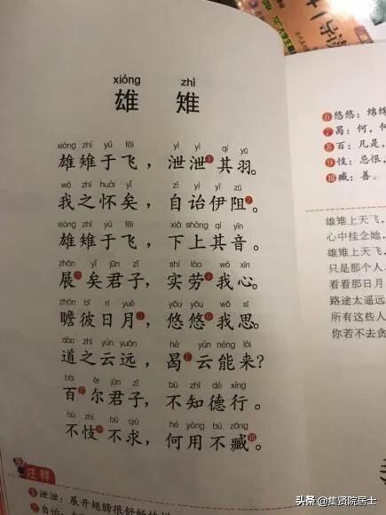 集贤院居士读诗经33春秋时期思妇反战的呐喊雄雉