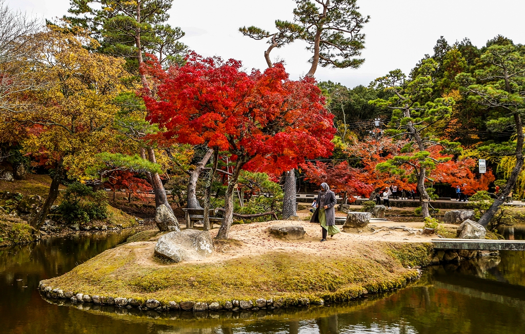 走进日本的奈良想起唐朝的鉴真和尚