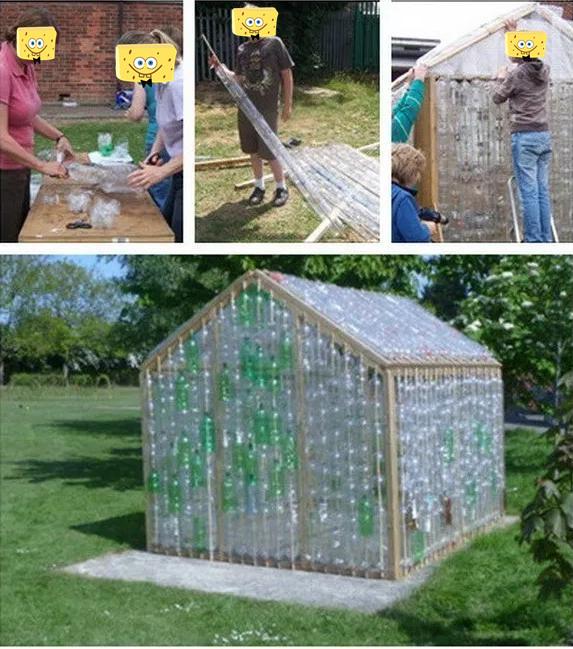 用钢丝网搭个塑料棚把院子里花花草草搬进去施工简单保温也好