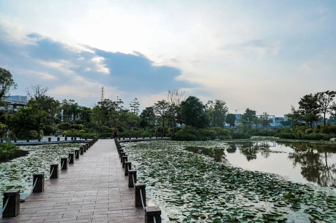 我市拟新增两处市级湿地公园其中一处在宝安