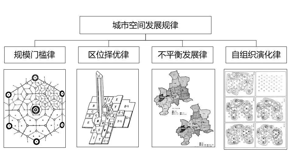 城市空间发展理论及其应用_结构