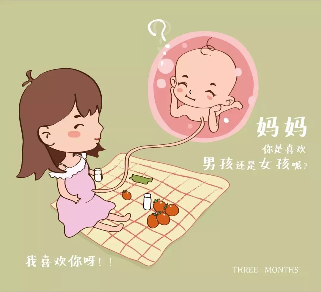 温馨产科| 怀胎10月,你与胎宝"相依为命"的那些日子