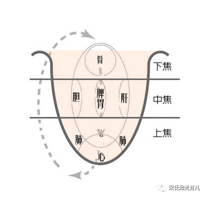 小儿舌头伸伸,疾病了然于心