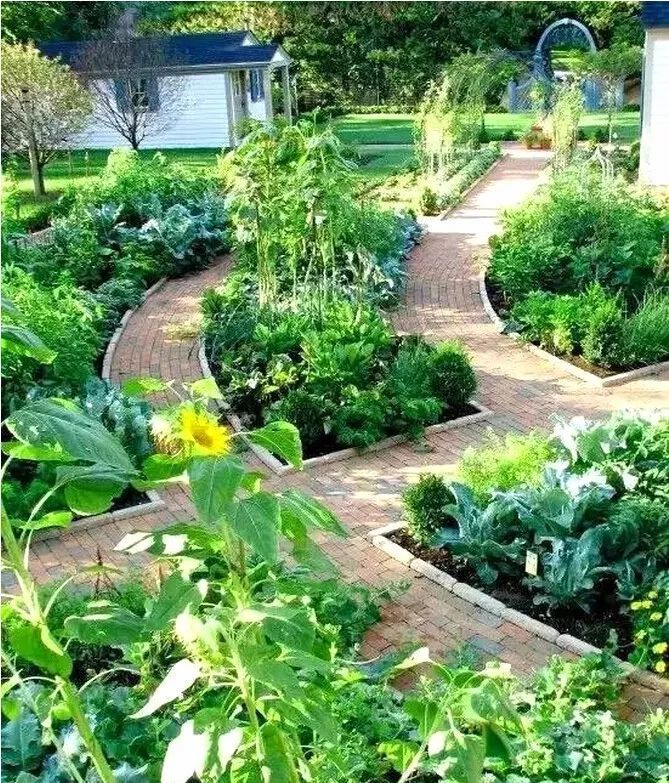 不逊色于植物的蔬菜花园,实用的"可食景观"!