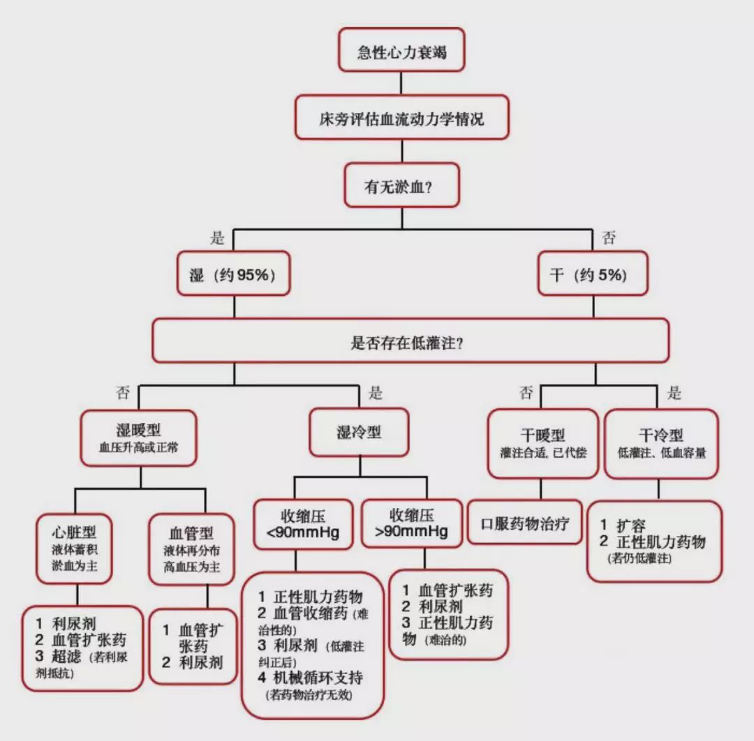 心力衰竭思维导图高清图片