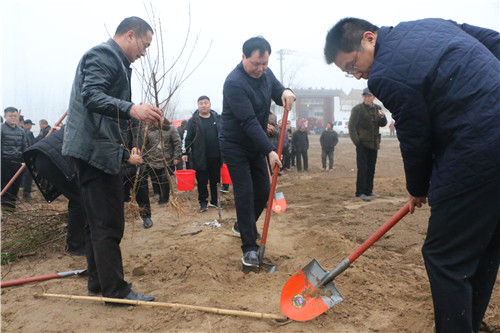河南省虞城县闻集乡:万亩黄桃种植项目正式启动_王新胜