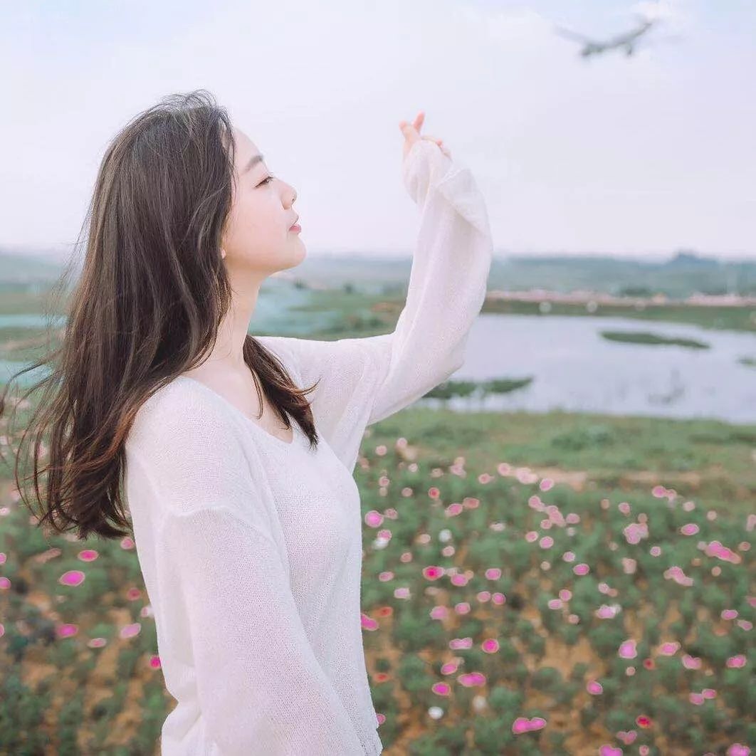 心向美好丨川妹子的倾城之恋