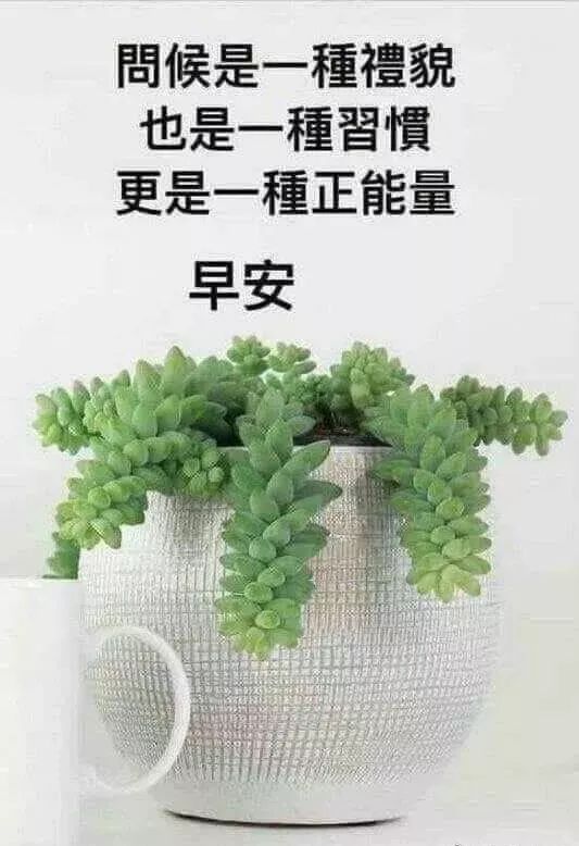 冬天早安短信快乐幸福祝福语,冬天早上好暖心的祝福话语