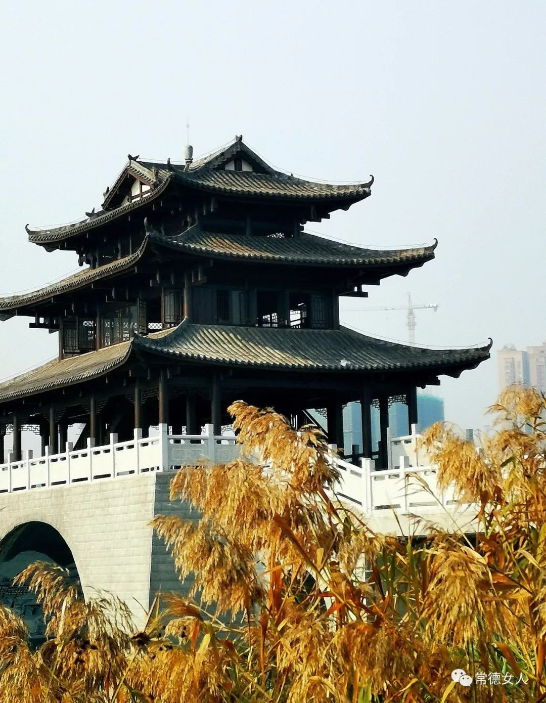 常德绝美秋景书写刘禹锡秋词千古绝唱