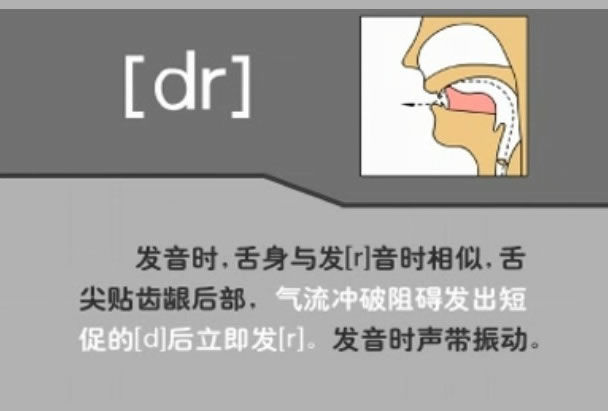 舌齿摩擦辅音[s][z]