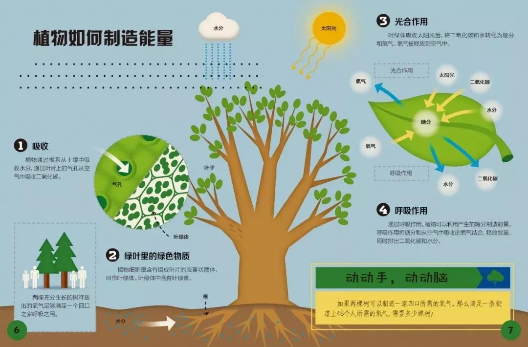 授人以鱼不如授人以渔
