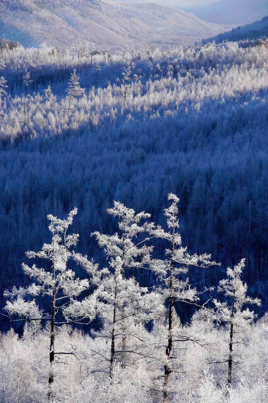 【西塘国旅】去什么新疆和西藏,这里才是中国最美的冬天