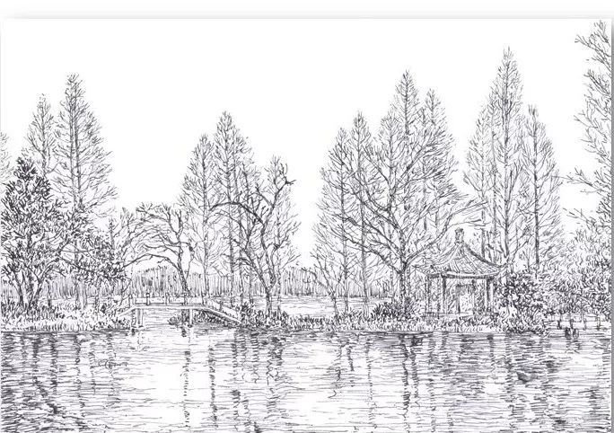 美术清华大学刘玉龙博士钢笔画选