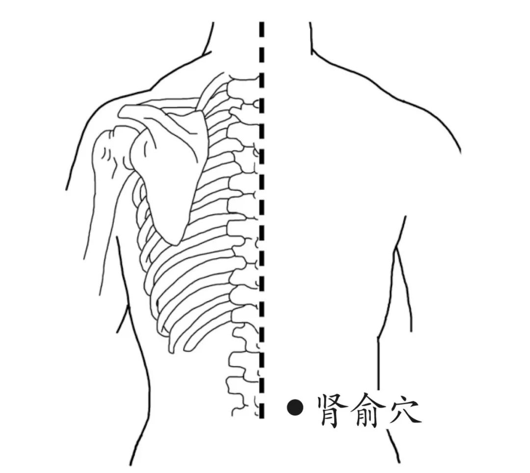 按摩肾俞穴