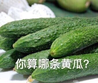 食物吵架表情包