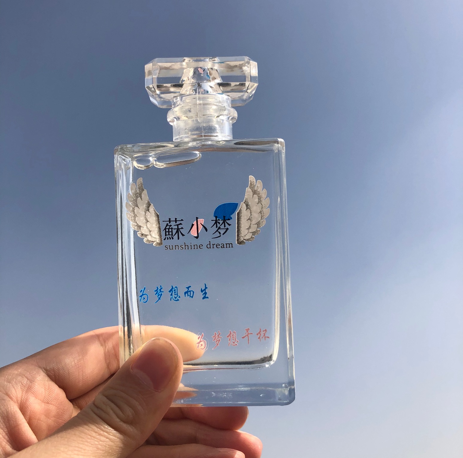 苏小梦酒诗词鉴赏