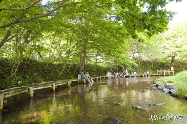 车露营场千岁川风景千岁川苔藓洞门大树森林野鸟森林与oneto(足寄町)