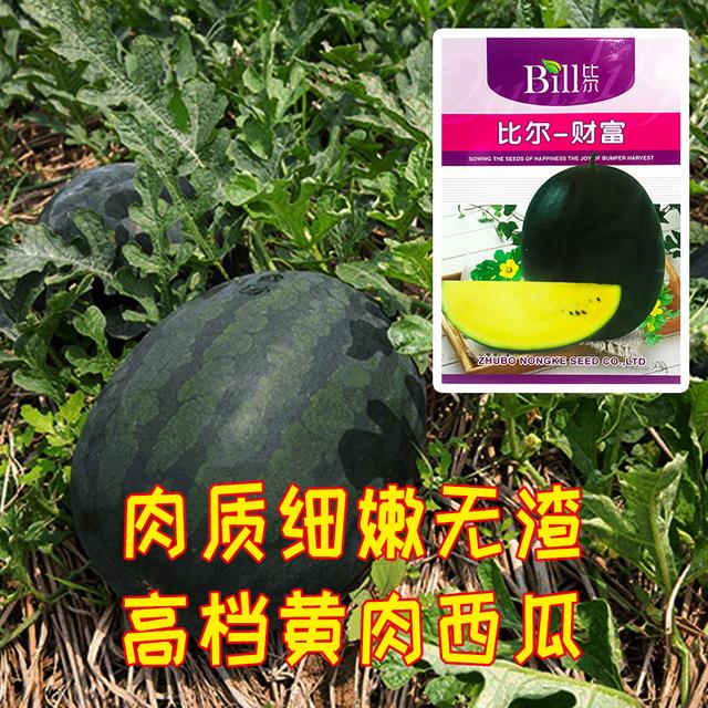 新奇特黄肉西瓜新品种 特甜 特好吃 农户有种过吗 贮运