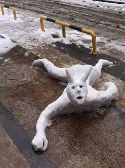 年度最不正经雪人大赛看完给跪了哈哈哈哈哈哈哈哈哈哈哈哈