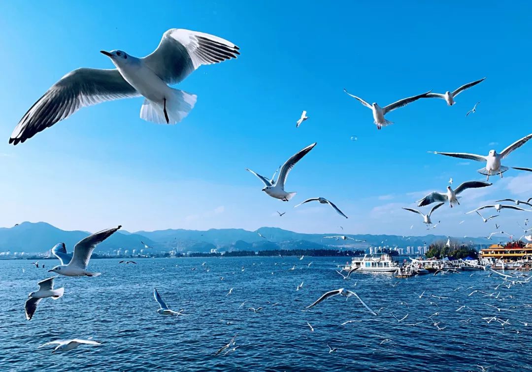 绝美滇池骑彩云南你决定报名环滇赛了吗