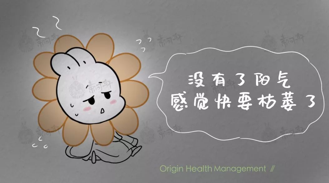耗尽你阳气的正是这些你以为的时尚与好习惯晚上运动早上洗头不吃米饭