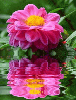 300_392竖版 竖屏gif 动态图 动图