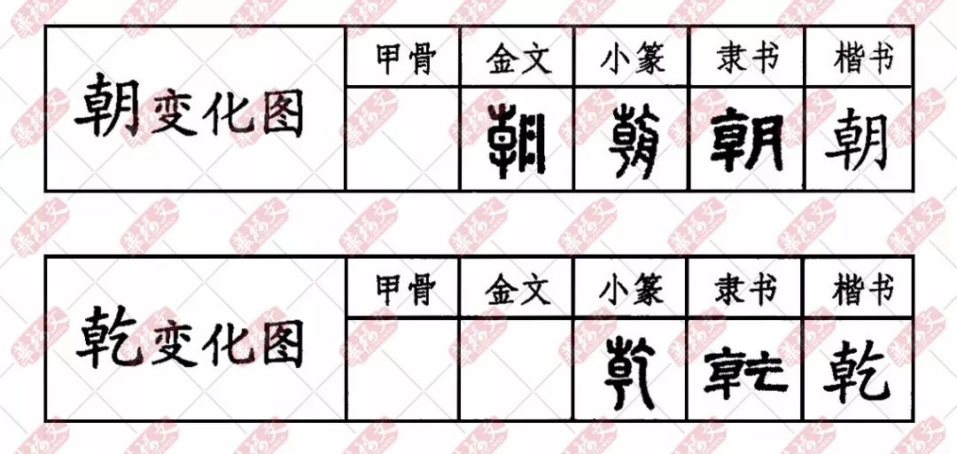 双法字理朝与乾字家族