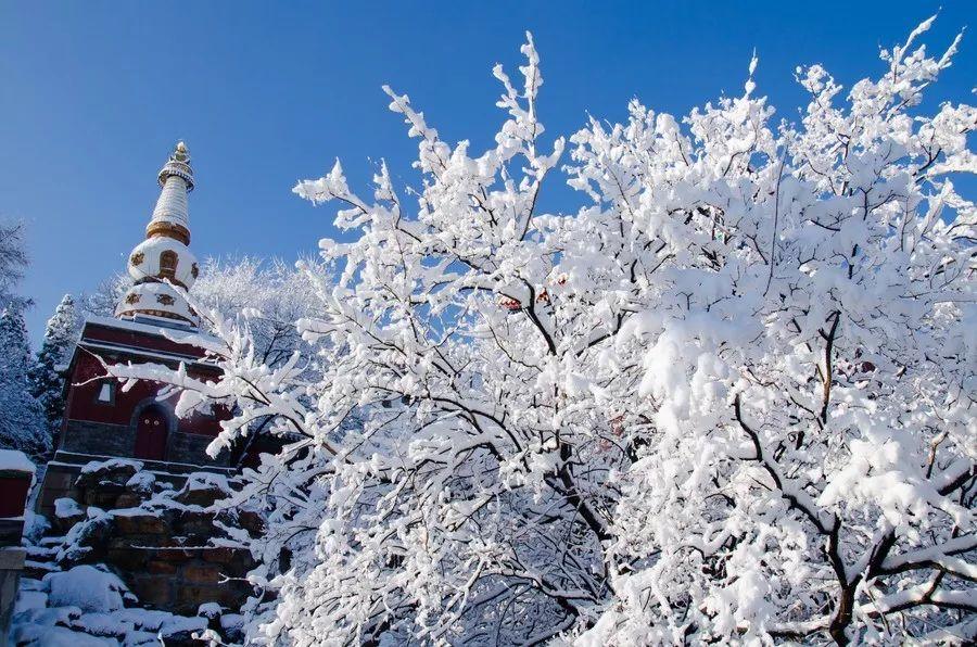 城郊的,市內的,身邊的,北京城還有很多可以看雪景的地方,其實除了故宮