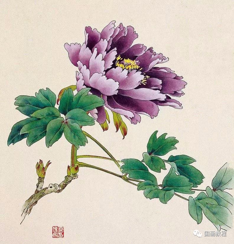 工笔名家邹传安画牡丹芍药典雅细腻