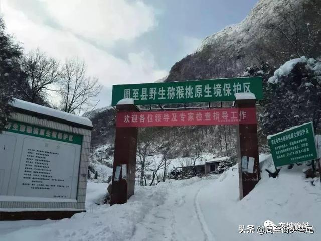 傥骆古道上的串草坡村