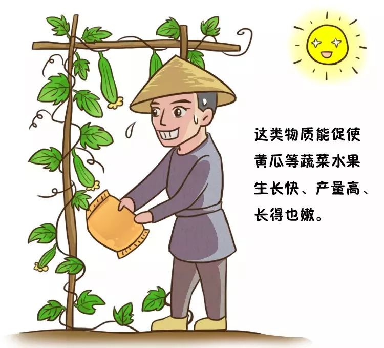 头顶开花的黄瓜不能吃吗