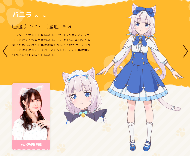 要是猫咪变成了女孩子2020年1月新番简介