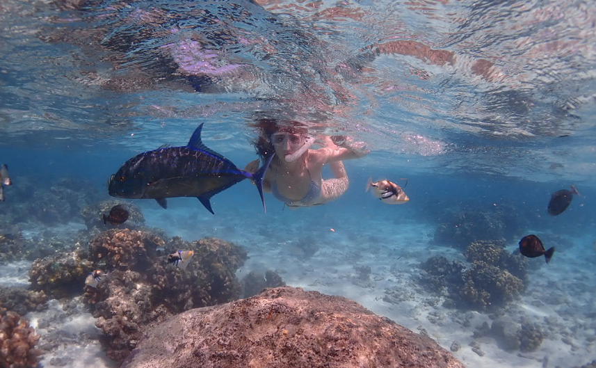 导演评价她像一张白纸,换上泳装美到犯规_鲍天琦