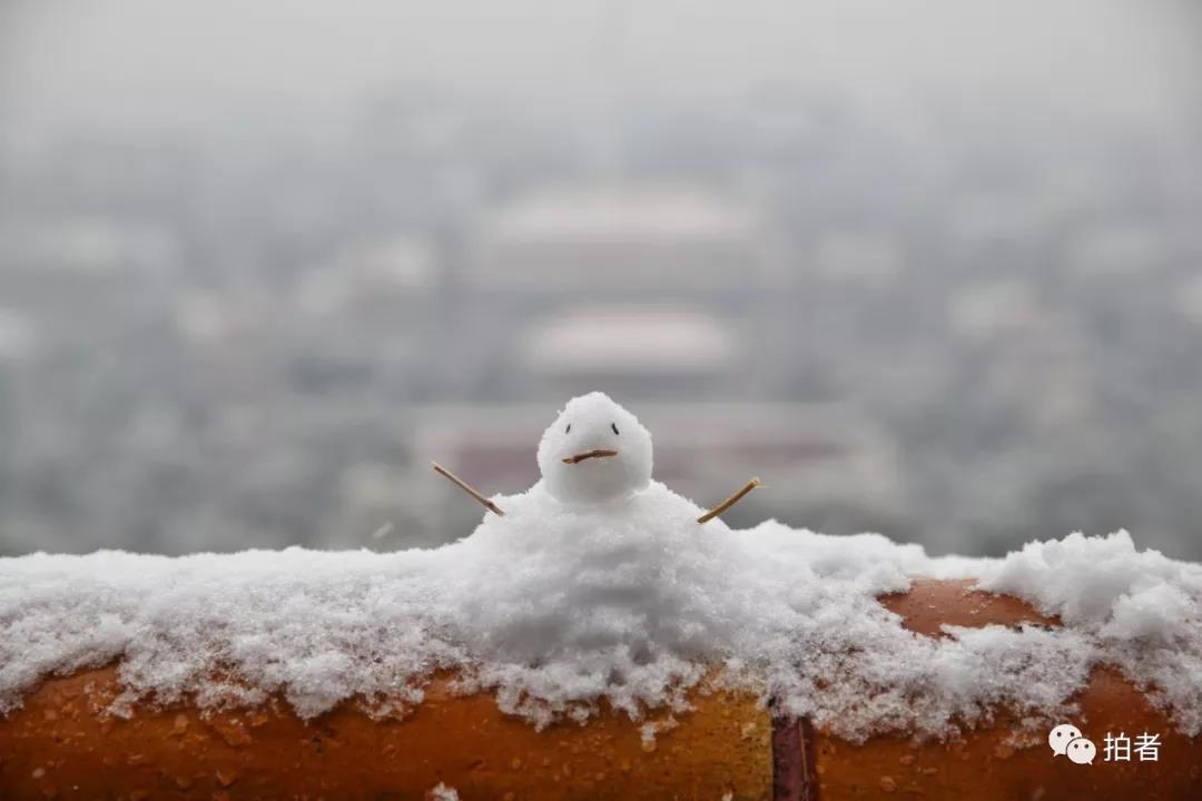 第二场雪|朋友圈雪景图斗不过?拿走不谢!