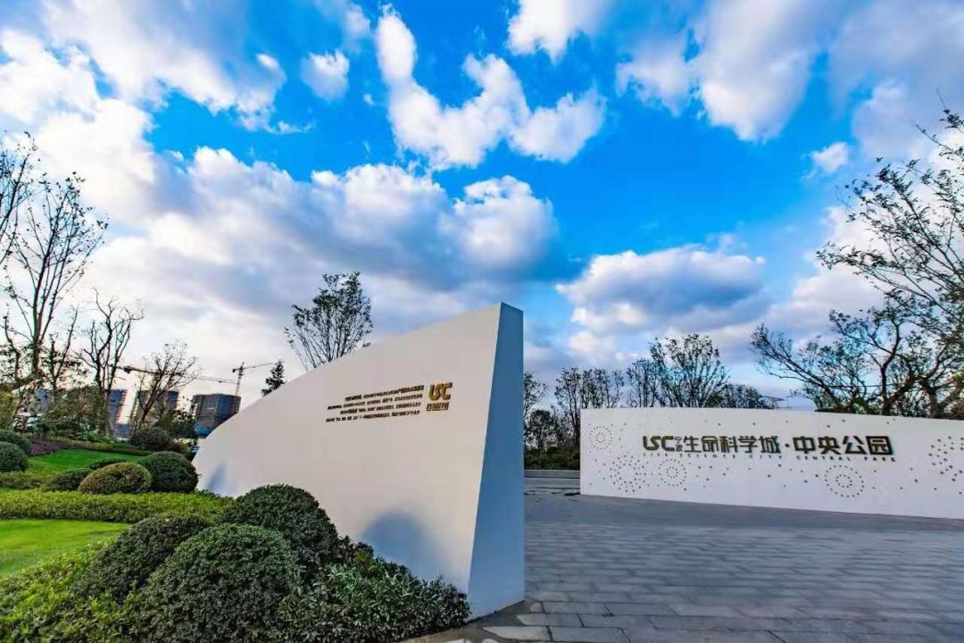 (中央公园实景图)3周边房价&土地分析周边在售的项目仅有宁南金茂悦