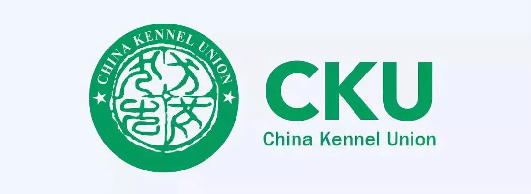 宠爱王国犬舍经营能力提升交流会潍坊站圆满成功