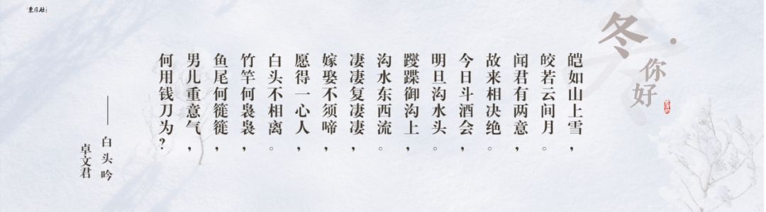 在《怨郎诗》之后,这位汉代才女卓文君又写下一首《白头吟》寄给丈夫