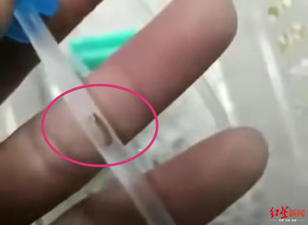 四川乐山一患儿家长在输液管内发现疑似有虫，输液袋已封存