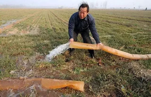 河南新一輪冷空氣上線冬小麥如何採取措施