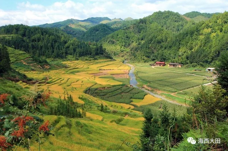 (坑口水库配图)该项目位于:福建省三明市大田县武陵乡桃溪村下岩自然
