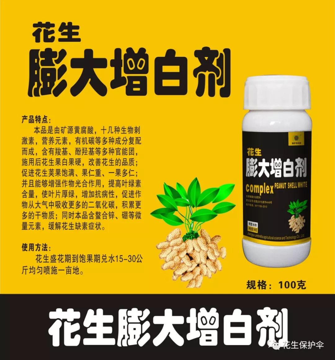 硼砂的功效与作用图片图片