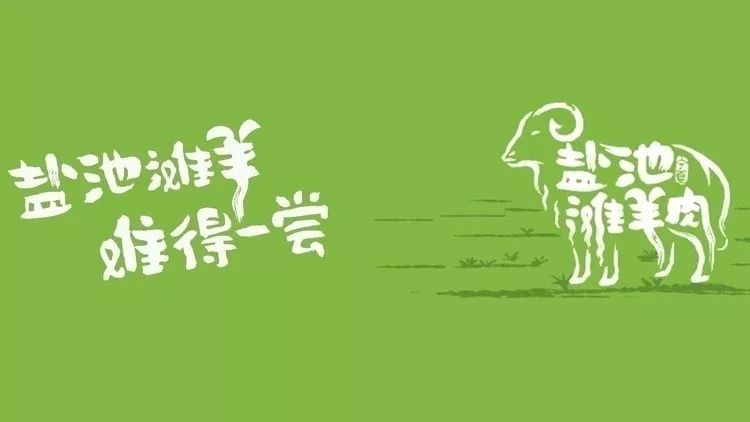 盐池滩羊!集草原精华于一身,味美领先!以食为媒,一"筷"入宁夏!