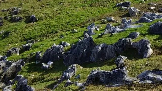 西安周边竟隐藏着绝美的喀斯特地貌?看石林再不用去云南!_出口