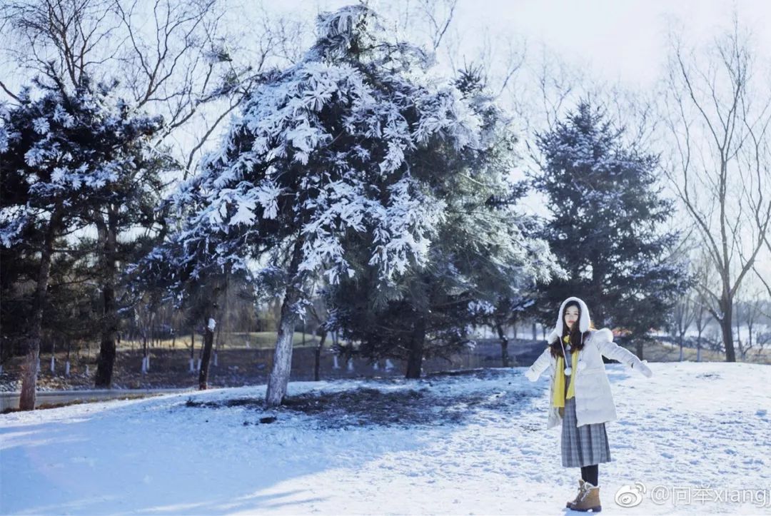 清纯少女壁纸雪背影图片