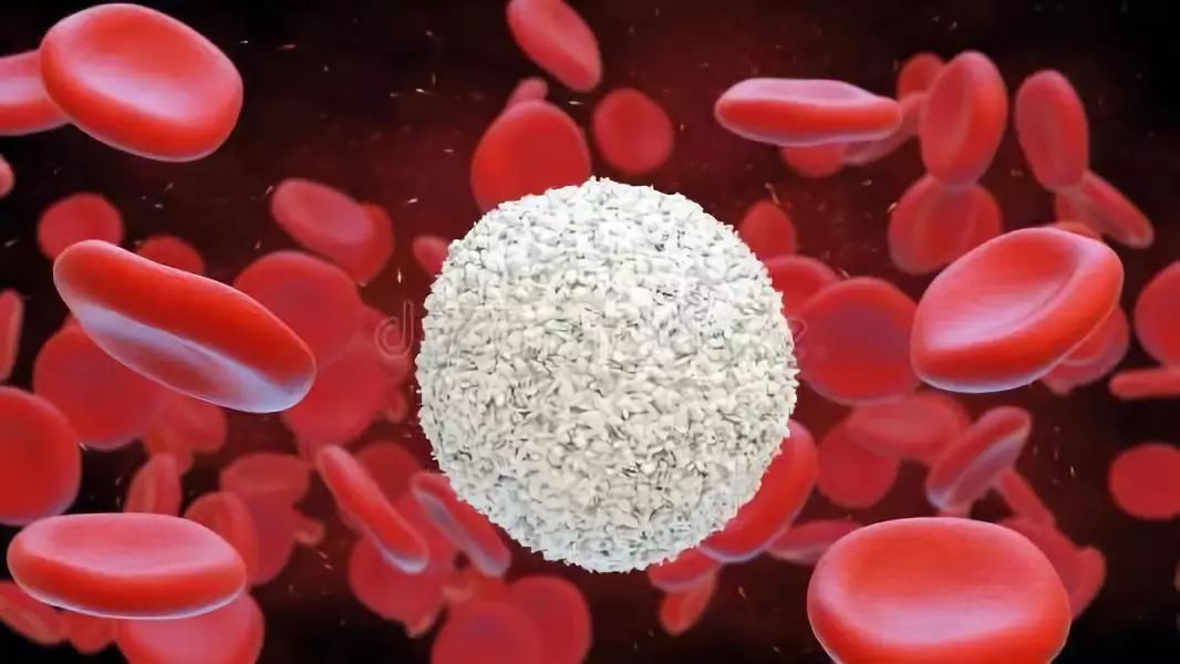 同样,生命抗癌靠的是用白血球吃掉癌细胞,但化疗反而会使白血球减少.