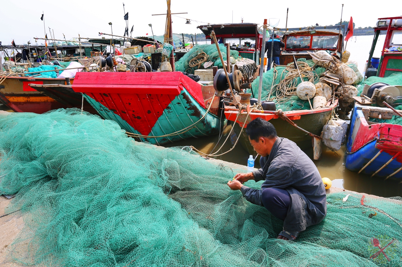 疍家妹的疍家传统美食获奖无数,很多港澳游客来南沙旅游,都会来这里吃