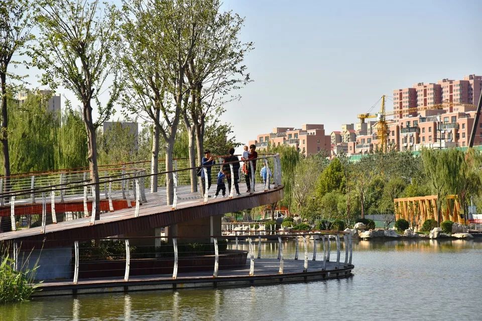 空间足够大从抚摸树根到触摸树冠树木的笔直向上,结合圆环的缓慢抬升