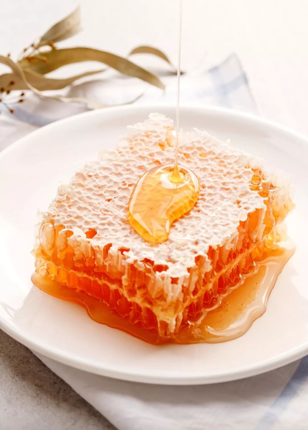 蜂巢蜜
