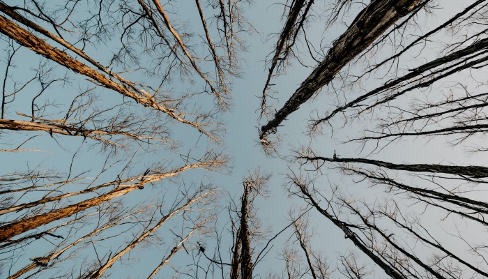 家电市场唯一机会在终端，厂商直接抢人还是锁定胃口？-家电圈官网