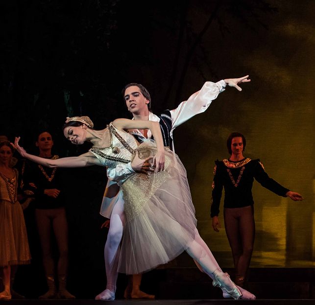 高雅艺术芭蕾舞剧天鹅湖划时代的巨作永恒不朽的天鹅荣光